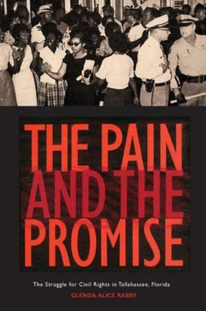 The Pain and the Promise de Glenda Alice Rabby