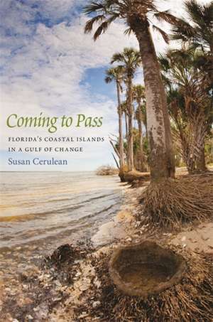 Coming to Pass de Susan Cerulean