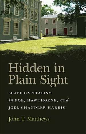 Matthews, J: Hidden in Plain Sight de John T. Matthews