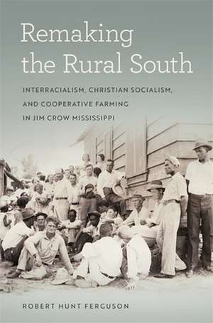 Remaking the Rural South de Robert Hunt Ferguson