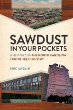 Sawdust in Your Pockets de Eric Medlin