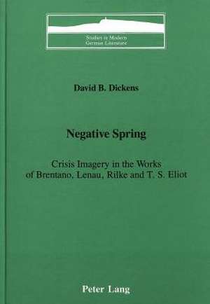 Negative Spring de David B Dickens