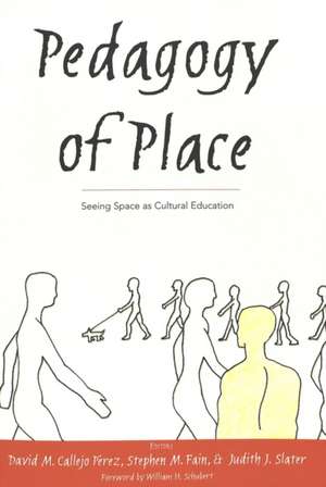 Pedagogy of Place de David M. Callejo Perez