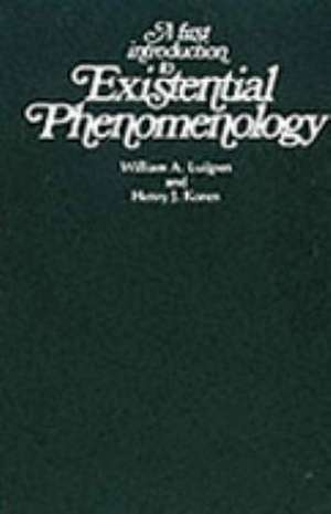 A First Introduction to Existential Phenomenology de William A. Luijpen