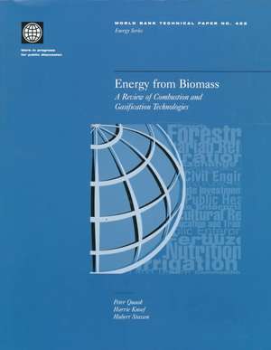 Energy from Biomass: A Review of Combustion and Gasification Technologies de Peter Quaak