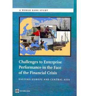 Challenges to Enterprise Performance in the Face of the Financial Crisis: Eastern Europe and Central Asia de World Bank Group