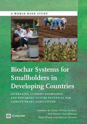 Biochar Systems for Smallholders in Developing Countries: Leveraging Current Knowledge and Exploring Future Potential for Climate-Smart Agriculture de Sebastian Scholz