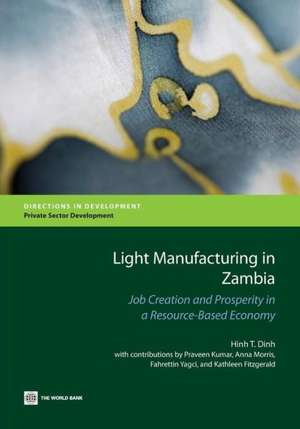 Light Manufacturing in Zambia de Hinh T. Dinh