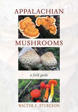 Appalachian Mushrooms: A Field Guide de Walter E. Sturgeon