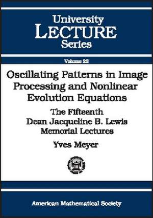 Oscillating Patterns in Image Processing and Nonlinear Evolution Equations: The Fifteenth Dean Jacqueline B. Lewis Memorial Lectures de Yves Meyer