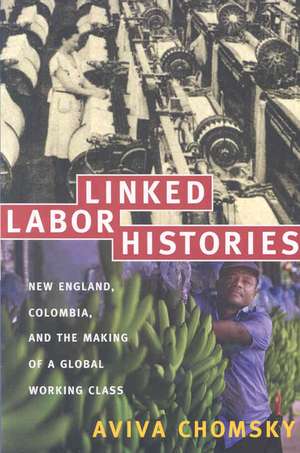 Linked Labor Histories – New England, Colombia, and the Making of a Global Working Class de Aviva Chomsky