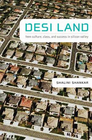 Desi Land – Teen Culture, Class, and Success in Silicon Valley de Shalini Shankar