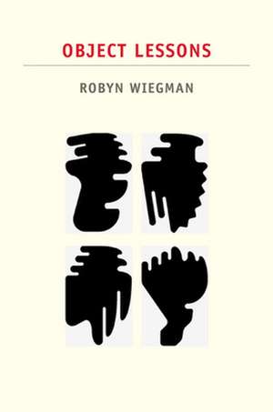 Object Lessons de Robyn Wiegman