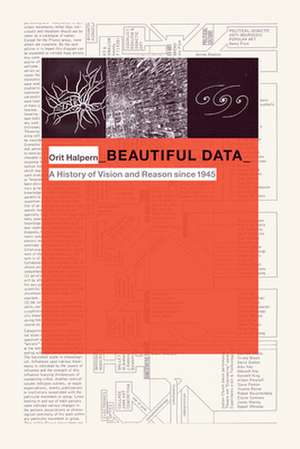 Beautiful Data de Orit Halpern