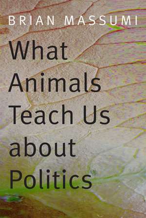 What Animals Teach Us about Politics de Brian Massumi