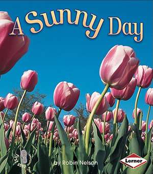 A Sunny Day de Robin Nelson