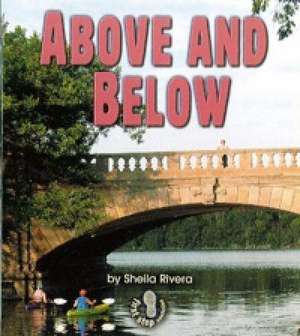 Above and Below de Sheila Rivera