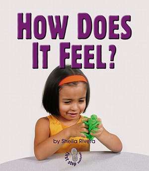 How Does It Feel? de Sheila Rivera