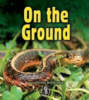 On the Ground de Jennifer Boothroyd