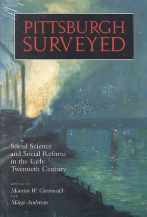 Pittsburgh Surveyed: Social Science and Social Reform in the Early Twentieth Century de Maurine Greenwald