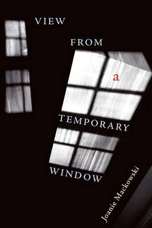 View from a Temporary Window de Joanie Mackowski