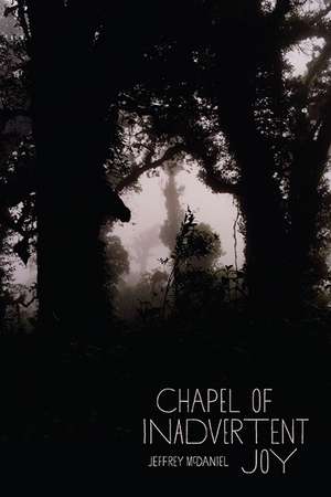 Chapel of Inadvertent Joy de Jeffrey McDaniel