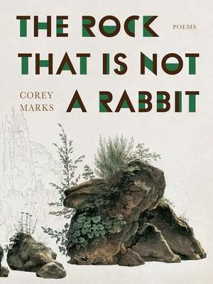 The Rock That is Not a Rabbit: Poems de Corey Marks