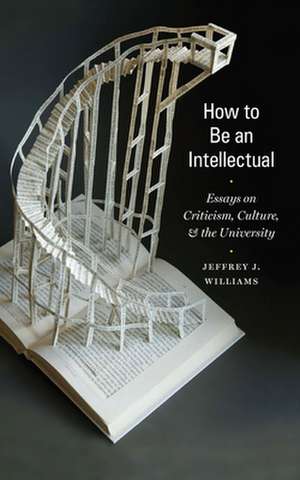 How to Be an Intellectual – Essays on Criticism, Culture, and the University de Jeffrey J. Williams