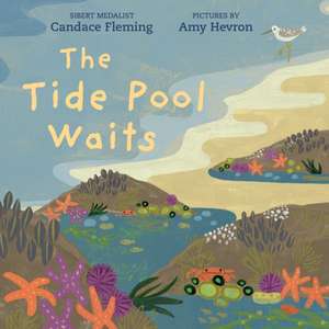 The Tide Pool Waits de Candace Fleming