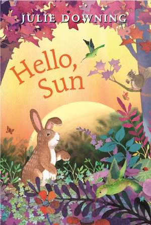 Hello, Sun de Julie Downing