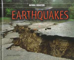 Earthquakes de Michele Ingber Drohan