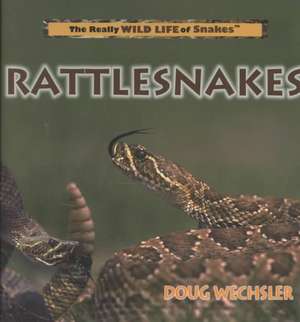 Rattlesnakes de Doug Wechsler