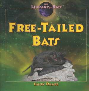 Free-Tailed Bats de Emily Raabe