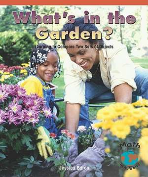 What's in the Garden?: Learning to Compare Two Sets of Objects de Jessica Baron