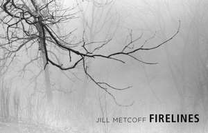 Firelines de Jill Metcoff