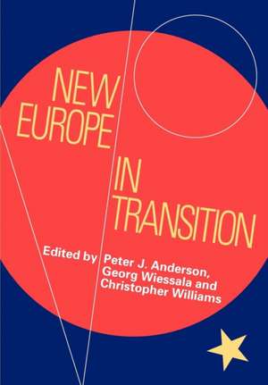 New Europe in Transition de Peter Anderson