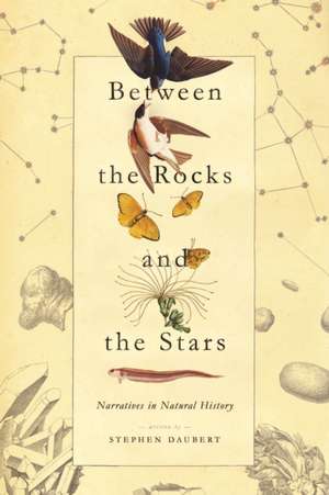 Between the Rocks and the Stars de Stephen Daubert