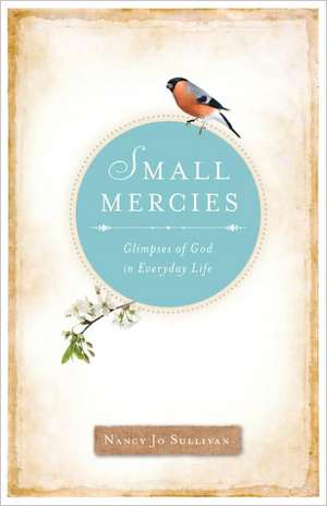 Small Mercies: Glimpses of God in Everyday Life de Nancy Jo Sullivan