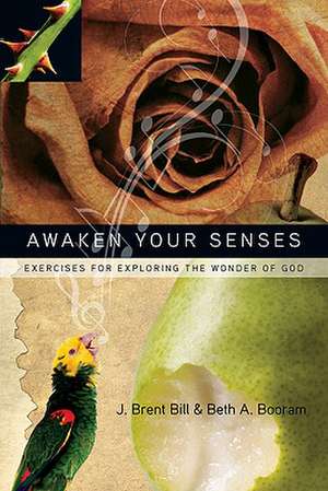 Awaken Your Senses – Exercises for Exploring the Wonder of God de J. Brent Bill