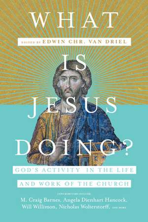 What Is Jesus Doing? – God`s Activity in the Life and Work of the Church de Edwin Chr. Van Driel