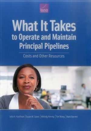 What It Takes to Operate and Maintain Principal Pipelines de Julia H Kaufman