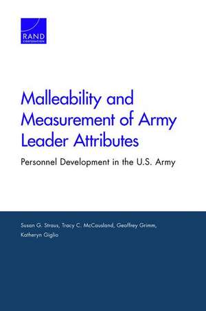 MALLEABILITY AMP MEASUREMENT OF de Katheryn Giglio