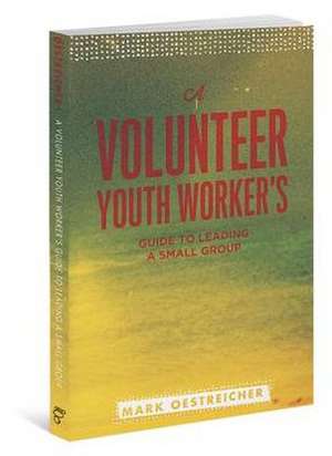 A Volunteer Youth Worker's Guide to Leading a Small Group de Mark Oestreicher