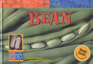 Bean de David M. Schwartz