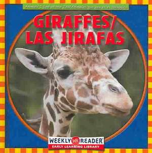 Giraffes/Los Jirafas de JoAnn Early Macken