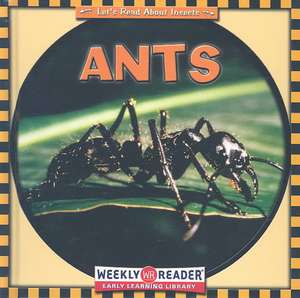 Ants de Susan Ashley