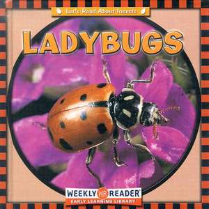 Ladybugs de Susan Ashley