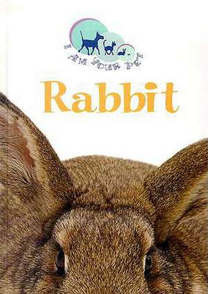 Rabbit de Matthew Rayner