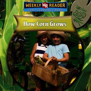 How Corn Grows de Joanne Mattern