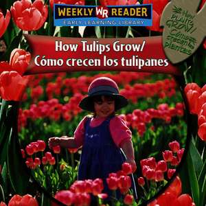 Como Crecen los Tulipanes/How Tulips Grow = How Tulips Grow de Joanne Mattern